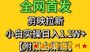 全网首发：剪映拉新，小白实操单日收益1k+【附报白渠道】-流年日记