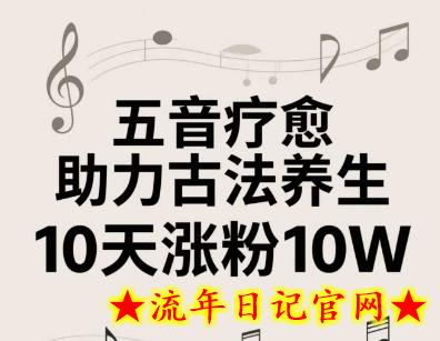 古法五音养生教程，五音疗愈的视频的制作方法，2-4小时就能学会，作者10天涨粉10W-流年日记