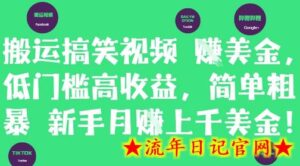 搬运搞笑视频挣美金,低门槛高收益,简单粗暴新手月入上千美刀-流年日记