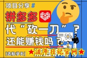 【2025最新】拼多多代坎助力项目深度拆解:还能挣钱吗?全流程玩法-流年日记