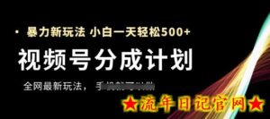 视频号分成计划,全网最暴力玩法,新手一天也能轻松5张+-流年日记