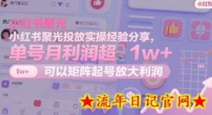 小红书聚光投放实操经验分享,单号月利润超1w+,可以矩阵起号放大利润-流年日记