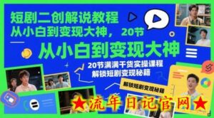 短剧二创解说教程,从小白到变现大神,20节满满干货实操课程,解锁短剧变现秘籍-流年日记