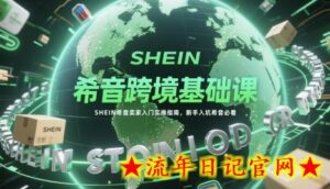希音跨境基础课,SHEIN希音卖家入门实操指南,新手入坑希音必看-流年日记