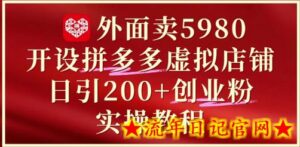外面卖5980开设拼多多虚拟店铺:单日引流200+创业付费粉实战教程-流年日记