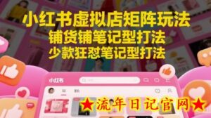 小红书虚拟店矩阵玩法,铺货铺笔记型打法,少款狂怼笔记型打法-流年日记