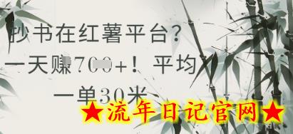 抄书在小红薯平台？平均一单30米，一天收益几张！-流年日记