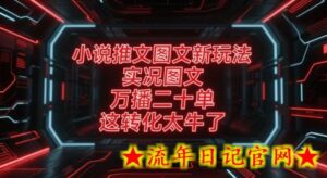 小说推文图文新玩法,实况图文,万播二十单,这转化太牛了!-流年日记