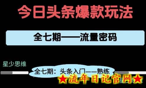 头条系列全七期项目拆解，全是干货，新手从0-1必经过程，99的人会踩的坑-流年日记