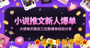 小说推文新人爆单大佬每天稳定三位数爆单经验分享-流年日记