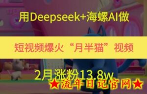 用Deepseek+海螺AI做短视频爆火“月半猫”视频,2月涨粉13.8w-流年日记