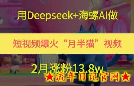 用Deepseek+海螺AI做短视频爆火“月半猫”视频，2月涨粉13.8w-流年日记