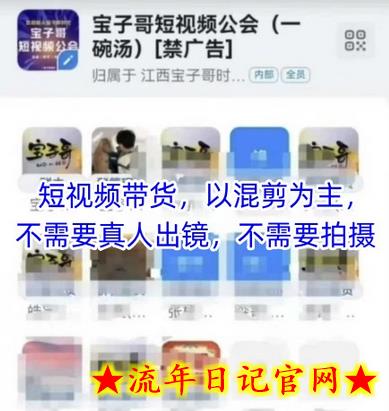 宝子哥头部团队短视频带货，以混剪为主，不需要真人出镜，不需要拍摄【更新】-流年日记