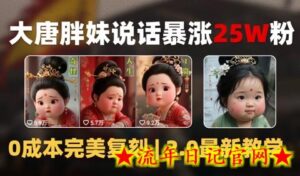 AI大唐胖贵妃说话2.0，40条视频暴涨40w粉，附独家变现攻略-流年日记