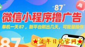 微信小程序看广告,单机一天87,新平台刚出几天,可批量操作,日入5张-流年日记