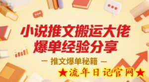 小说推文搬运大佬爆单经验分享，推文爆单秘籍-流年日记