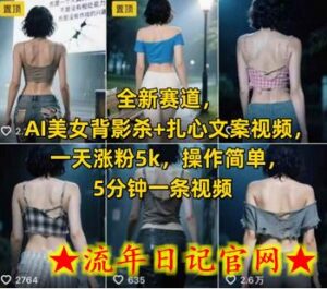 全新赛道,AI美女背影杀+扎心文案视频,一天涨粉5k,操作简单,5分钟一条视频-流年日记