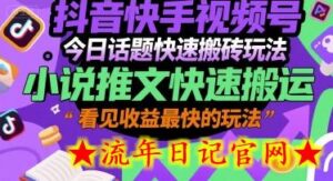 抖音快手视频号今日话题快速搬砖玩法,小说推文快速搬运,看见收益最快的玩法-流年日记
