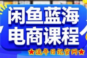 闲鱼蓝海电商课程，手把手助你快速上手，轻松实现闲鱼稳定盈利-流年日记