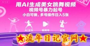 用AI生成美女跳舞视频,视频号暴力起号,小白可做,多号操作日入5张-流年日记