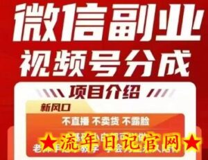 微信副业视频号分成,不直播 不卖货 不露脸,三五分钟即可完成一条作,每日收益几十、几张不等-流年日记