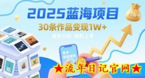 2025蓝海项目30条作品 变现1w+ 有手就能操作适合小白做-流年日记