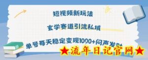 短视频新玩法玄学赛道引流私域单号每天稳定变现1k+闷声发财-流年日记