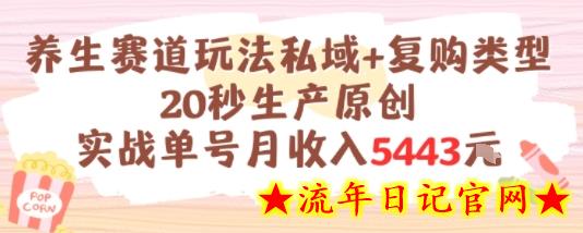 养生赛道玩法私域+复购类型，20秒生产原创实战单号月收入5k+-流年日记