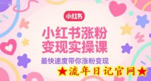 小红书涨粉变现实操课，最快速度带你涨粉变现-流年日记