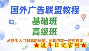 国外广告联盟教程,基础班和高级班,从新手入门到高阶玩家,全套内容一站式搞定-流年日记