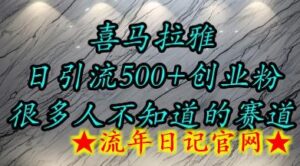 喜马拉雅,小而精的流量赛道,日进500+精准创业粉-流年日记