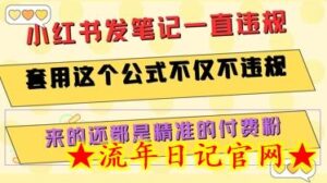 小红书发笔记一直违规,套用这个公式不仅不违规,来的还都是精准的付费粉-流年日记