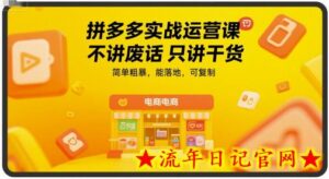 拼多多实战运营课，不讲废话只讲干货，简单粗暴，能落地，可复制-流年日记