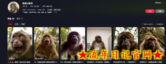 最新爆火的峨眉山猴子短视频制作教程，条条点赞10w+，谁做谁火【教程+提示词】插图(1)