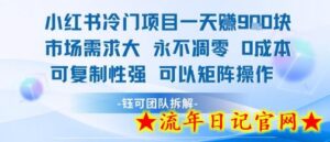 小红书冷门项目一天收益9张，市场需求大，0成本，可复制性强可以矩阵操作-流年日记