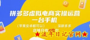 拼多多虚拟电商实操运营,一台手机(苹果安卓都可以),深耕多多店铺日收4位数-流年日记