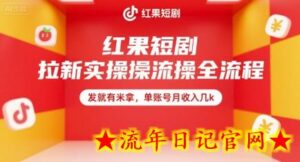 红果短剧拉新实操全流程,发就有米拿,单账号月收入几k-流年日记