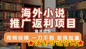 海外小说推广返利项目,视频投喂, 一刀不剪,矩阵批量-流年日记