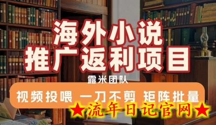 海外小说推广返利项目，视频投喂， 一刀不剪，矩阵批量-流年日记