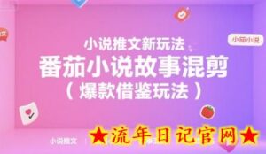 小说推文新玩法,番茄小说故事混剪(爆款借鉴玩法)-流年日记