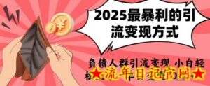 2025年最暴利的引流变现方式,负债人群引流变现,小白轻松上手,日入1k-流年日记