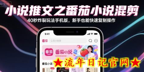 小说推文之番茄小说混剪40秒炸裂玩法手机版，新手也能快速复制操作-流年日记