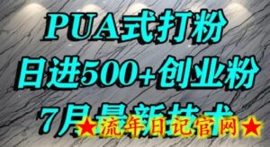 怎么打创业粉，PUA制造焦虑，单人日引500+精准流量-流年日记