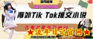 海外tiktok小说推文暴力项目,高停留率,高转化率,上手后一天搞顿饭钱不是问题-流年日记
