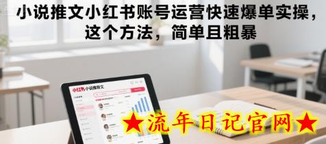 小说推文小红书账号运营快速爆单实操，这个方法，简单且粗暴-流年日记
