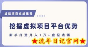 抓住虚拟项目各平台优势，新手轻松月入1W+(给出具体建议)-流年日记