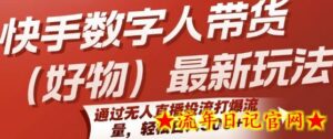 快手数字人带货(好物)最新玩法，通过无人直播投流打爆流量，轻松日入5张-流年日记