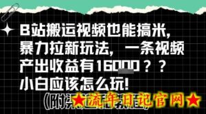 b站掘金计划？搬运视频也能挣拉新的收益，小白应该怎么玩！-流年日记