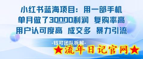 小红书蓝海项目，一部手机单月做了3W利润，小白也能月入过1W用户认可度高成交多-流年日记