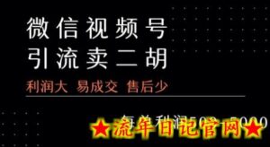 视频号卖二胡教程,利润大 易成交 售后少,一单利润5张+-流年日记